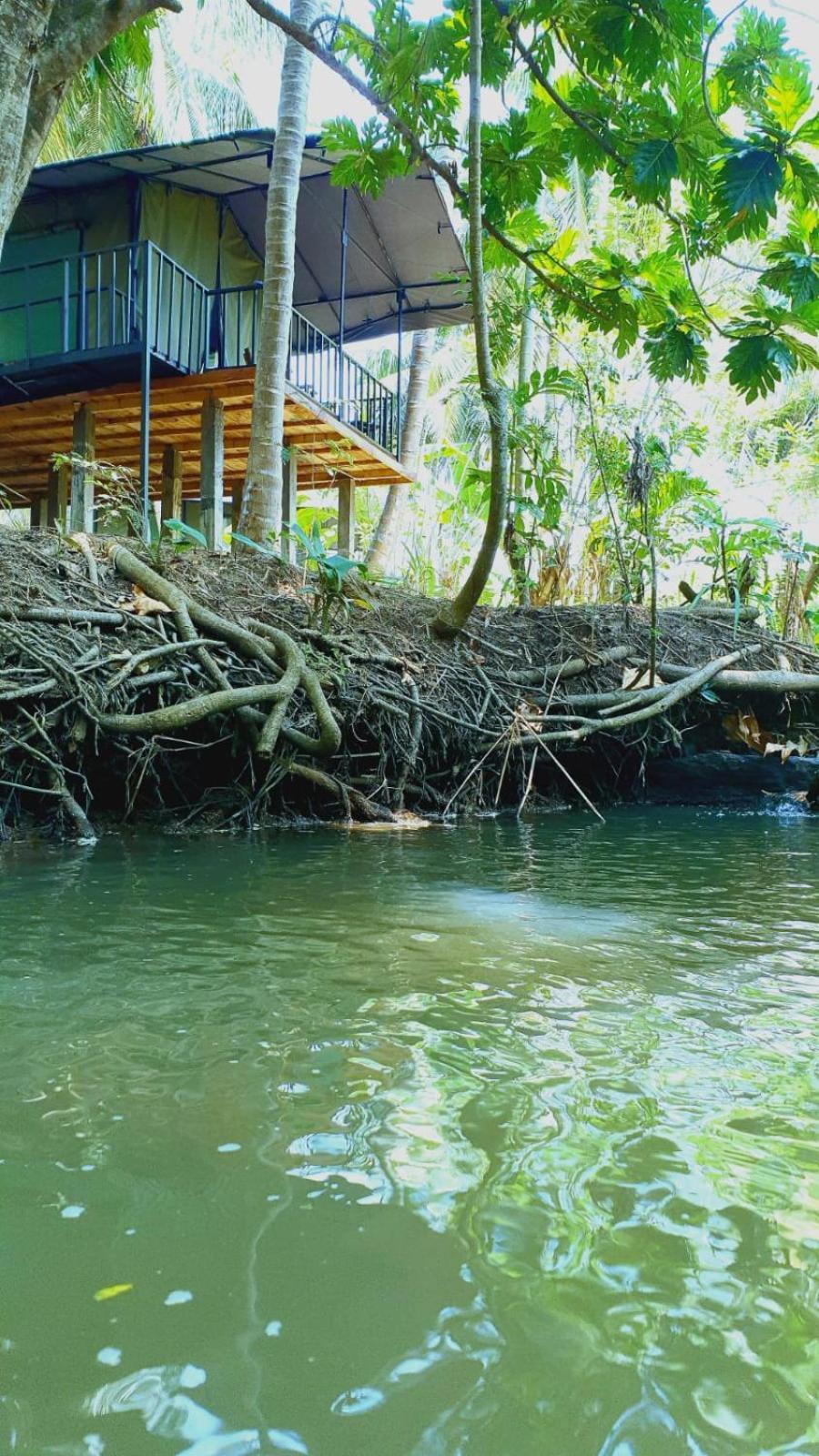 Coconut Camp Udawalawe Dematapelessa Exterior photo