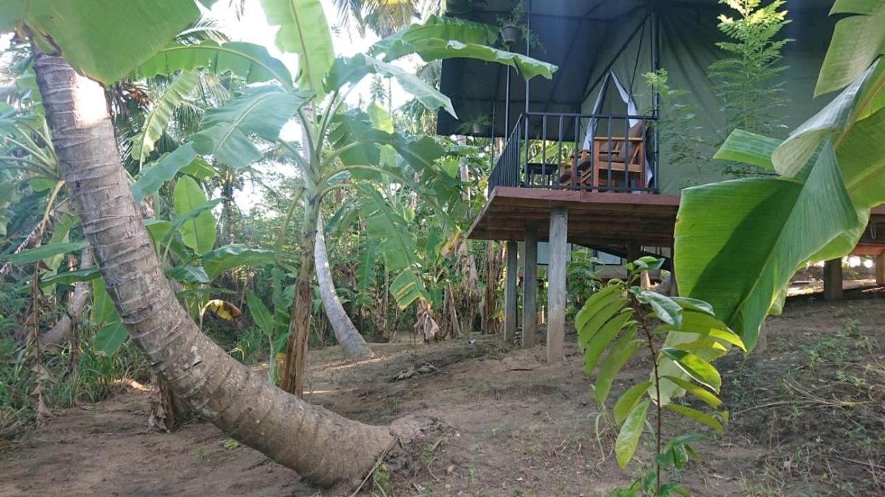 Coconut Camp Udawalawe Dematapelessa Exterior photo