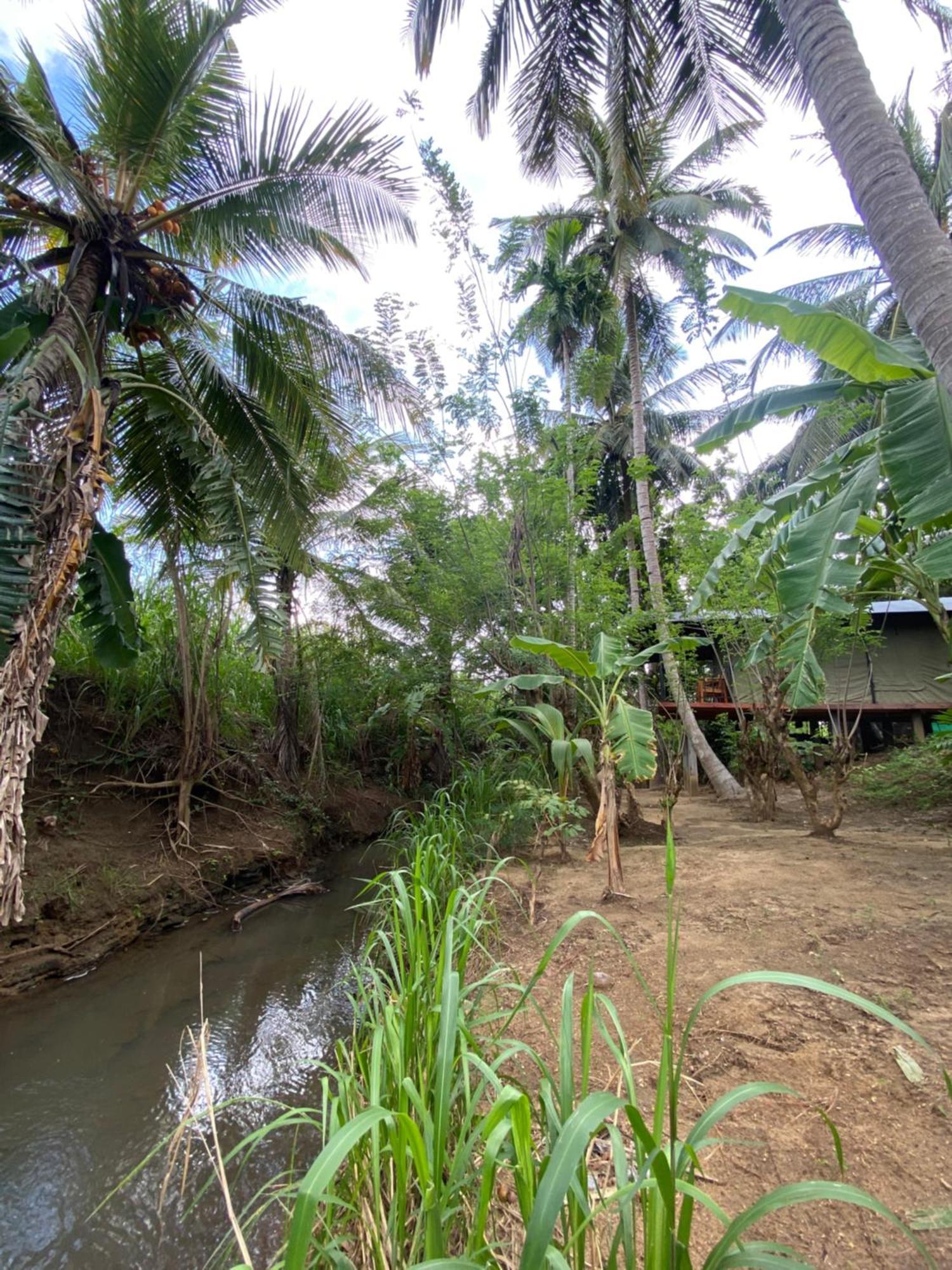 Coconut Camp Udawalawe Dematapelessa Exterior photo